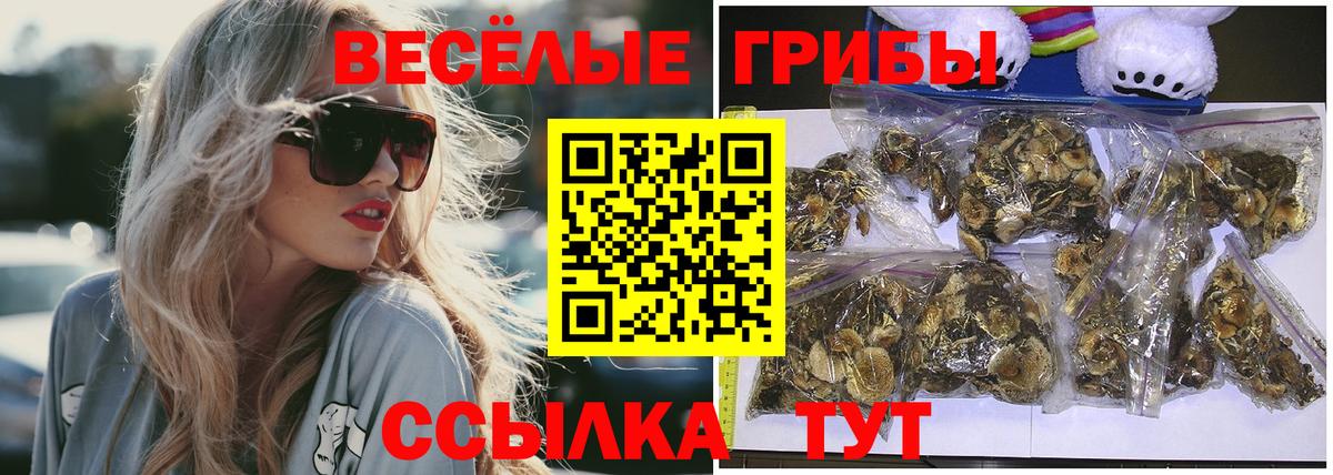 Красный Сулин  Галлюциногенные грибы GOLDEN TEACHER  Вход с VPN 